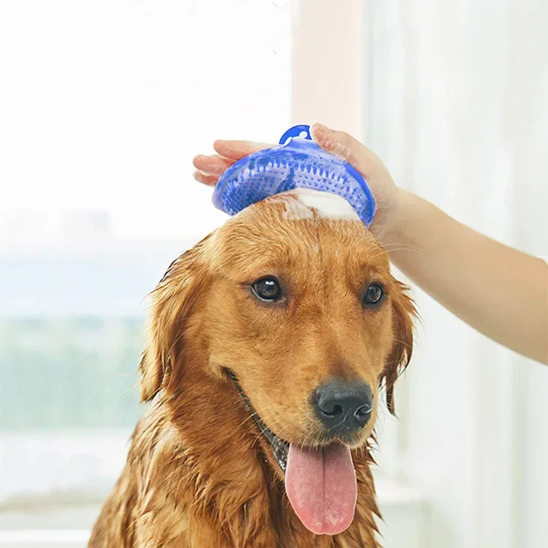 Soft Silicone Pet Bath Brush M - Pet Supplies Outlet review and price