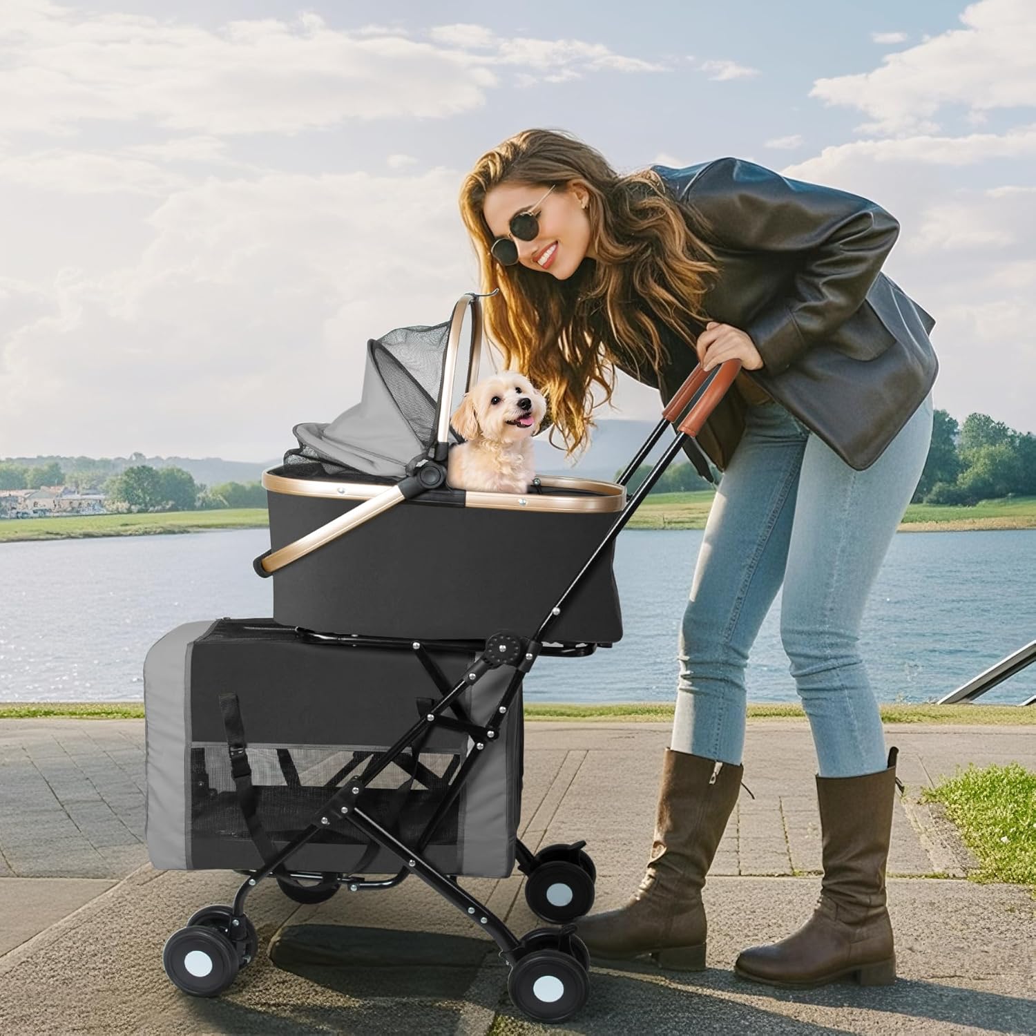 Double Pet Stroller for Dogs a - Pet Stroller Carrier review and price