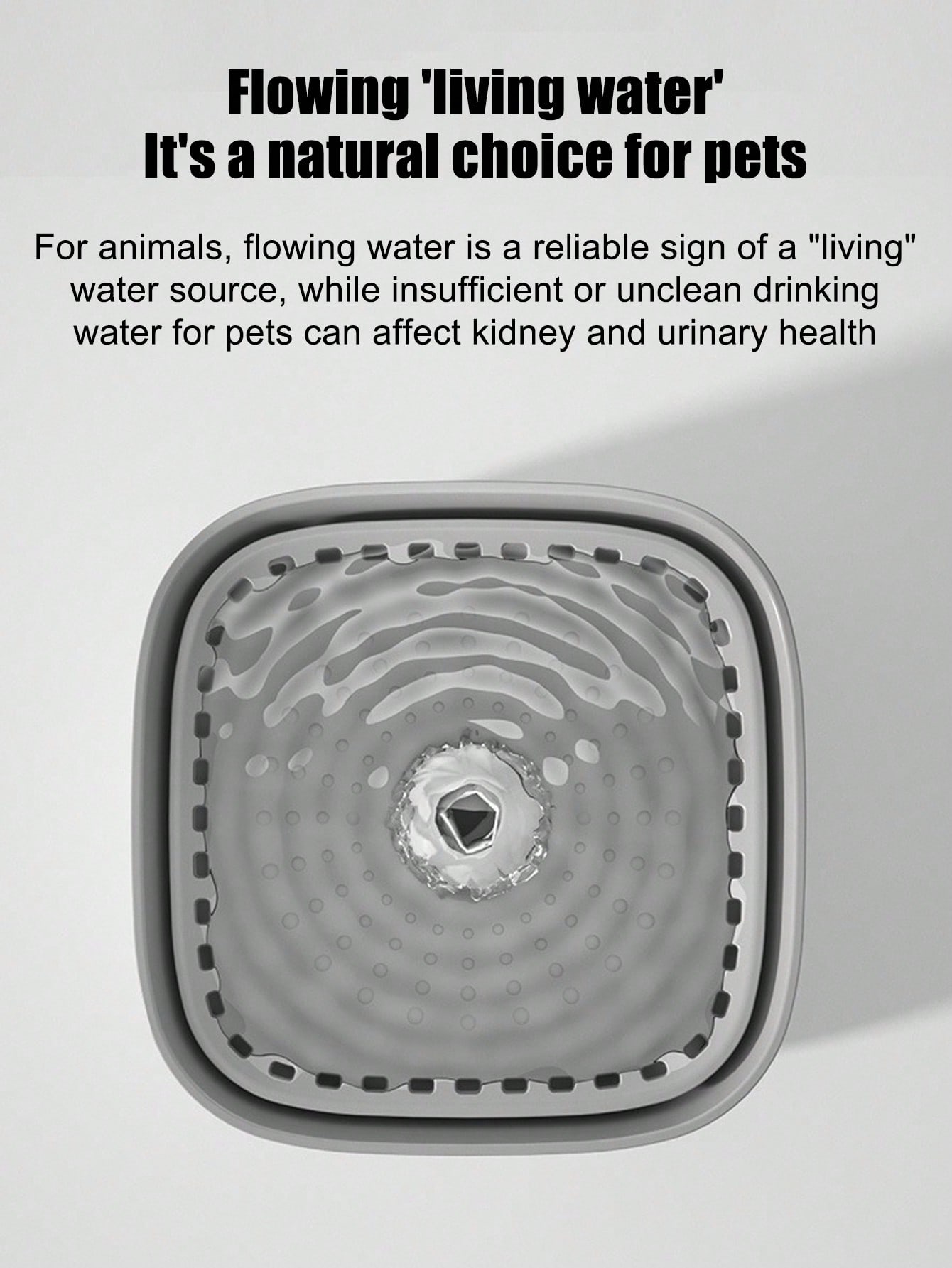 New Automatic Cat Water Founta - Cat Water Fountain Filter review and price