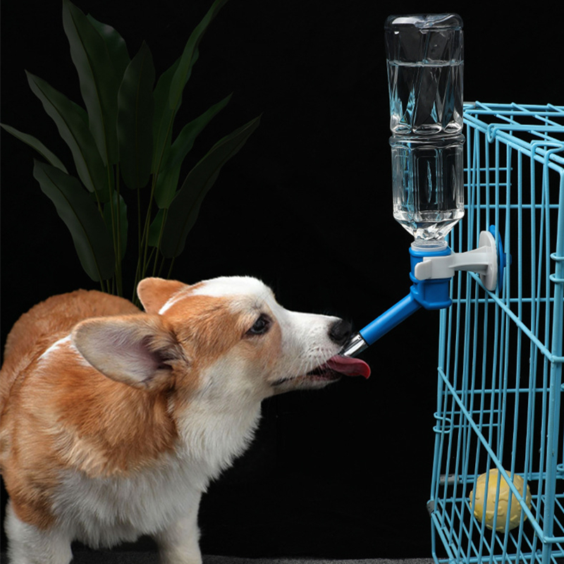 Pet Dog Cat Water Dispenser No - Cat Water Fountain Filter review and price