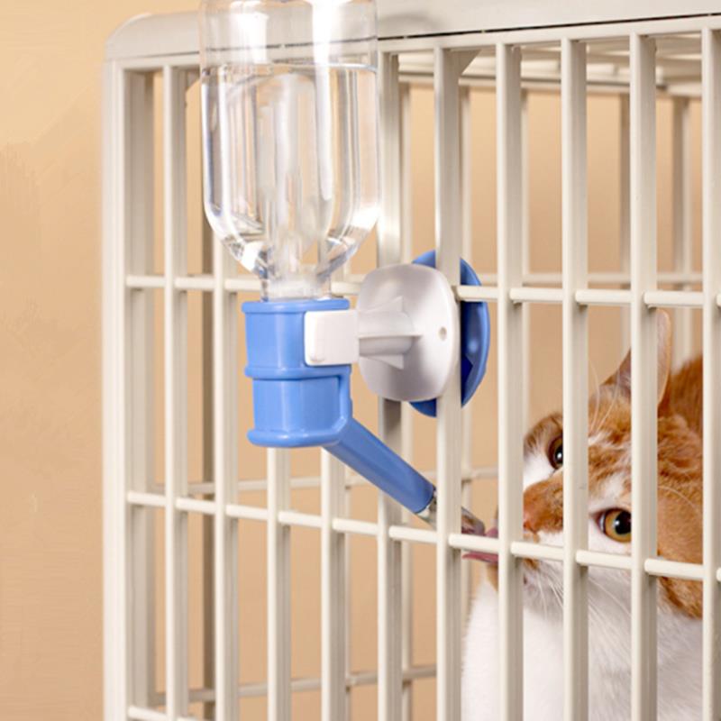 Pet Dog Cat Water Dispenser No - Cat Water Fountain Filter review and price