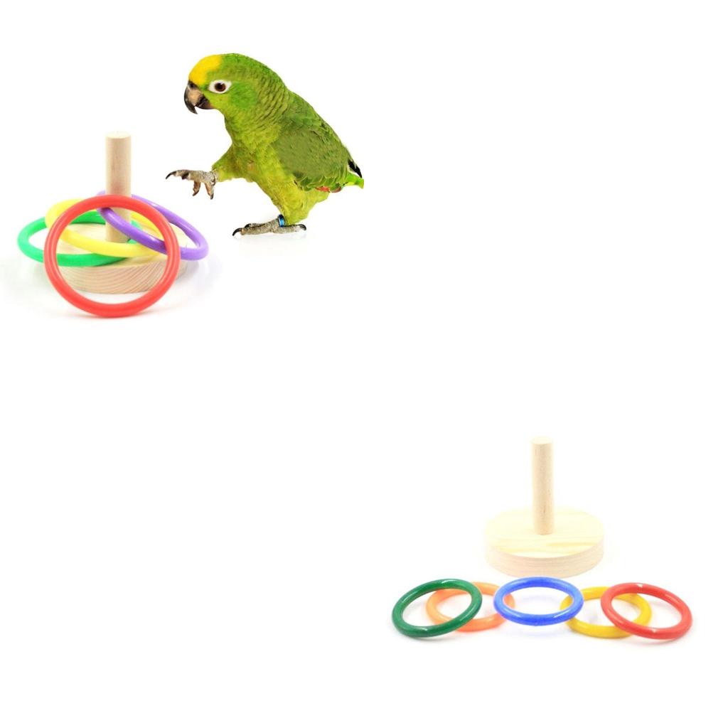 Bird Parrot Wooden Platform Pl - Pet Supplies Ringwood review and price