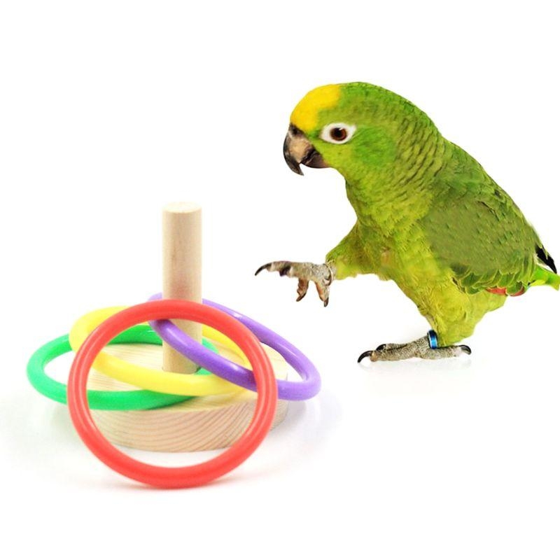 Bird Parrot Wooden Platform Pl - Pet Supplies Ringwood review and price