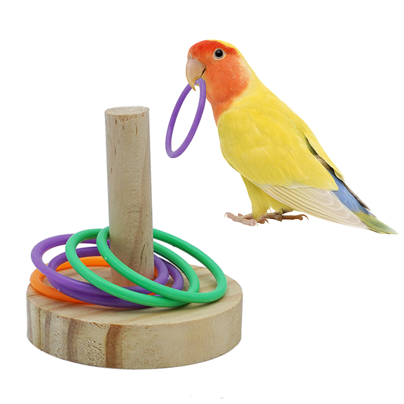 Parrot Bird Toy Parrot Bite Ch - Pet Supplies Ringwood review and price