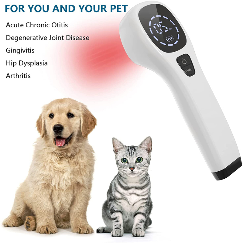 2x808nm Cold Laser Therapy Dev - Pet Supplies Outlet review and price
