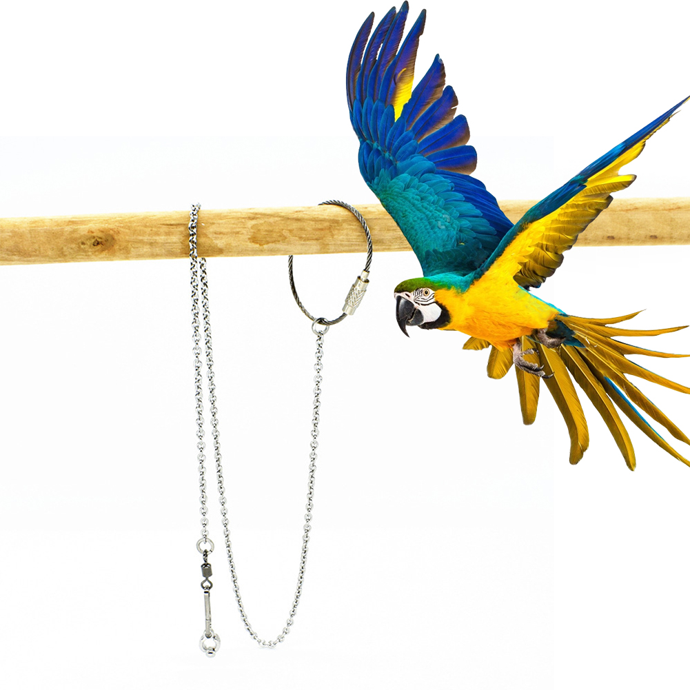 1Pcs Pet Parrot Leg Ring Ankle - Pet Supplies Ringwood review and price