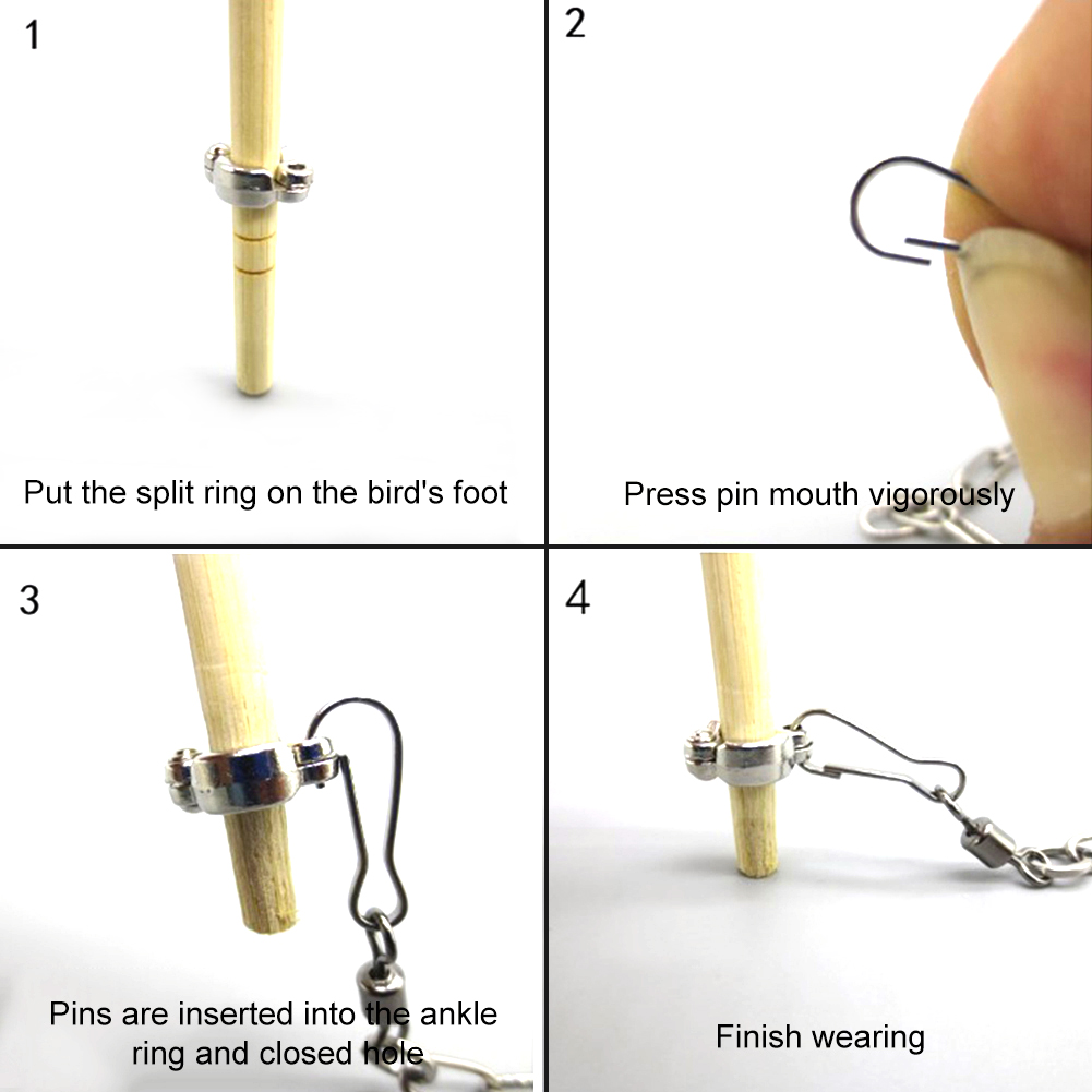 1Pcs Pet Parrot Leg Ring Ankle - Pet Supplies Ringwood review and price